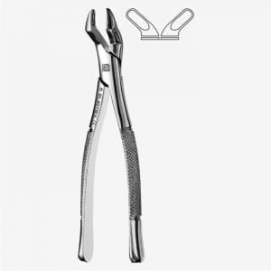 American Pattern Tooth Extraction Forceps Fig. 10S